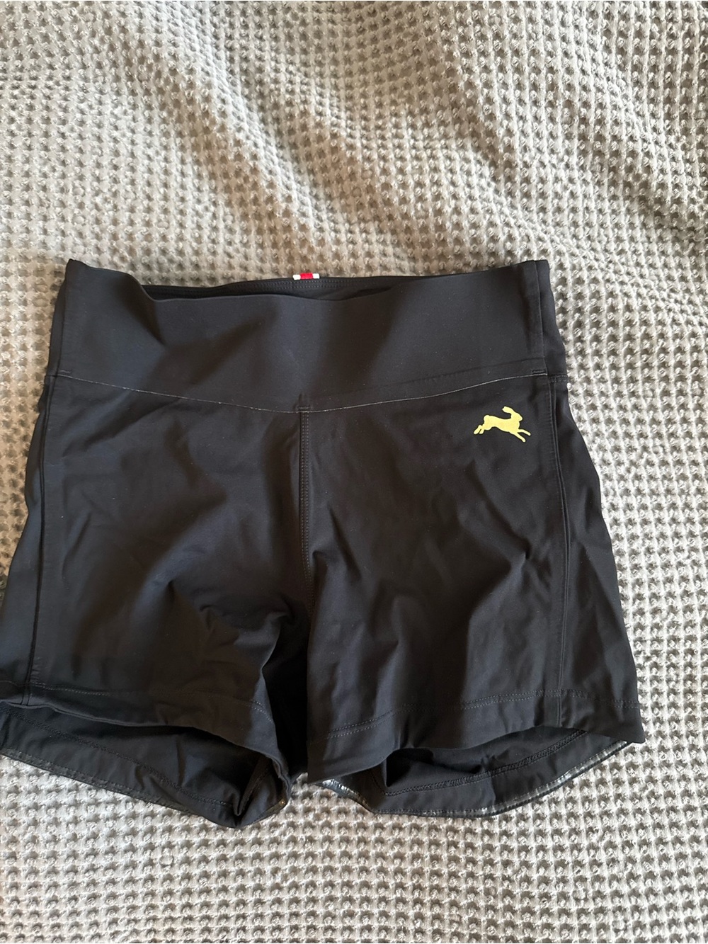 Tracksmith Women's Tight Running Shorts